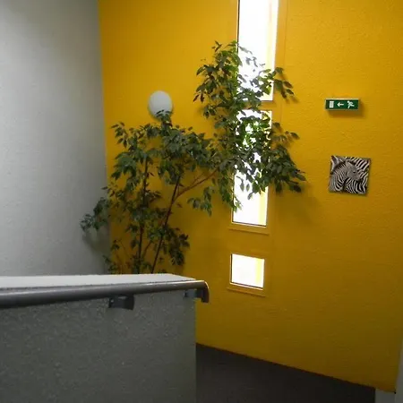 Hotel Class-hotel